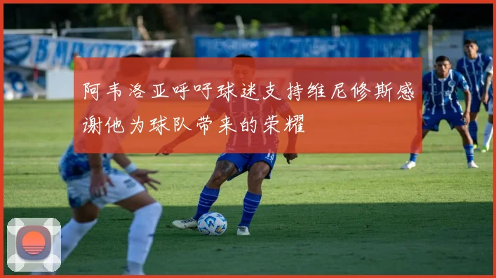阿韦洛亚呼吁球迷支持维尼修斯感谢他为球队带来的荣耀